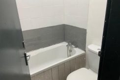 Ash tree m8 5sa studio 4