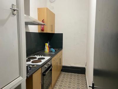 Ash tree m8 5sa studio 5